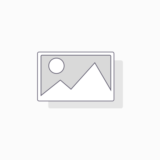 Gemini Archiver
